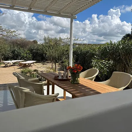 Argana Naxos Private With Pool And Garden Tatil Evi *